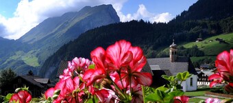 Double Room - Haus Alpina