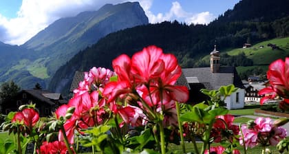 Double Room - Haus Alpina