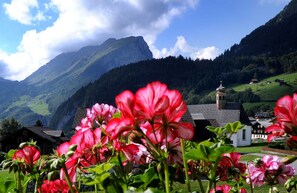 未分类图片，第 2 张，共 10 张，按钮