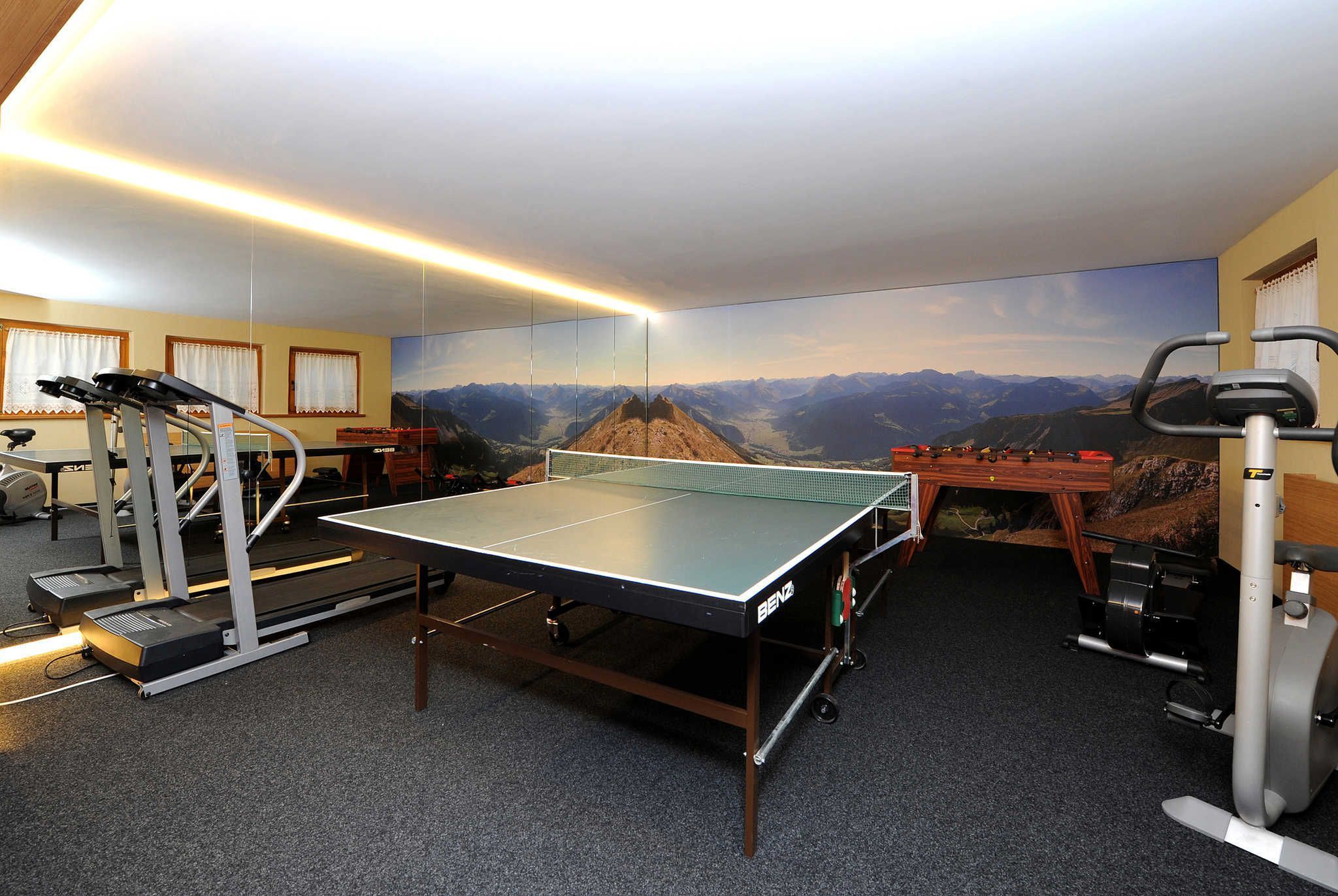 Une pièce équipée d’une table de ping-pong, de matériel d’exercice et ornée d’une fresque représentant un paysage de montagne.
