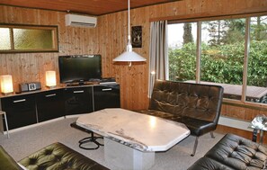 Televisor 