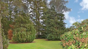 A well-maintained grassy area with mature trees and dense shrubbery. - 3 bedroom stunning home in Kirke Hyllinge (Kirke Hyllinge)