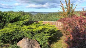 Un giardino con arbusti diversi e una recinzione in legno.