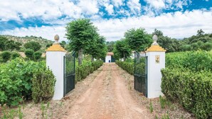 Un sentiero sterrato che conduce a un edificio con una porta blu, circondato da vegetazione e con un cielo sereno.