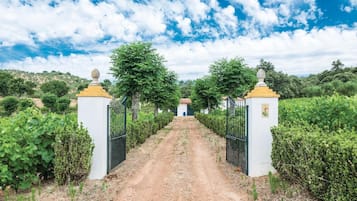 Terrein van de accommodatie