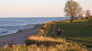 A coastal path with a grassy area and a tree, leading to a beach with waves. - Gorgeous home in Süssau/Ostsee with sauna (Süssau/Ostsee)