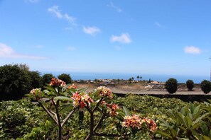 Imagen sin descripción, 4 de 20, botón