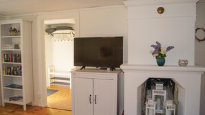 A living room with a television, bookshelves, a fireplace, and a hallway leading to another room.