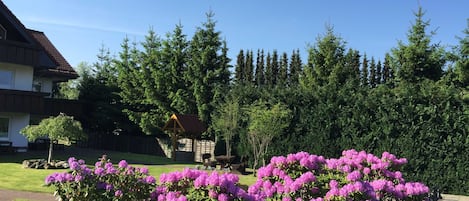 Un quartier résidentiel comprenant une maison, une pergola en bois et une rangée d’arbustes de rhododendrons.