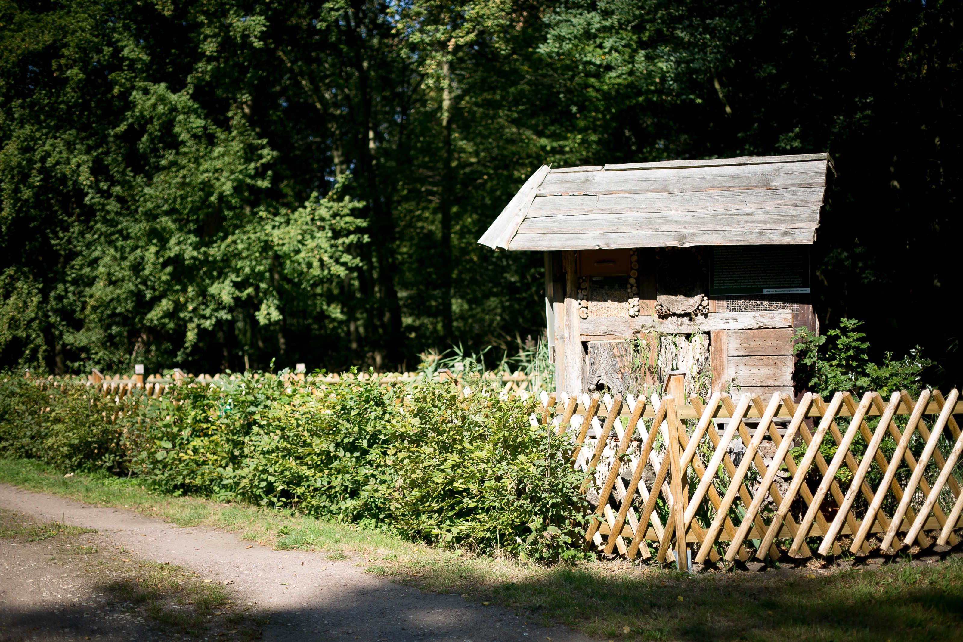 Pieni puinen rakennelma, jossa on kalteva katto, ja sen ympärillä on puinen aita sekä tiheää kasvillisuutta.