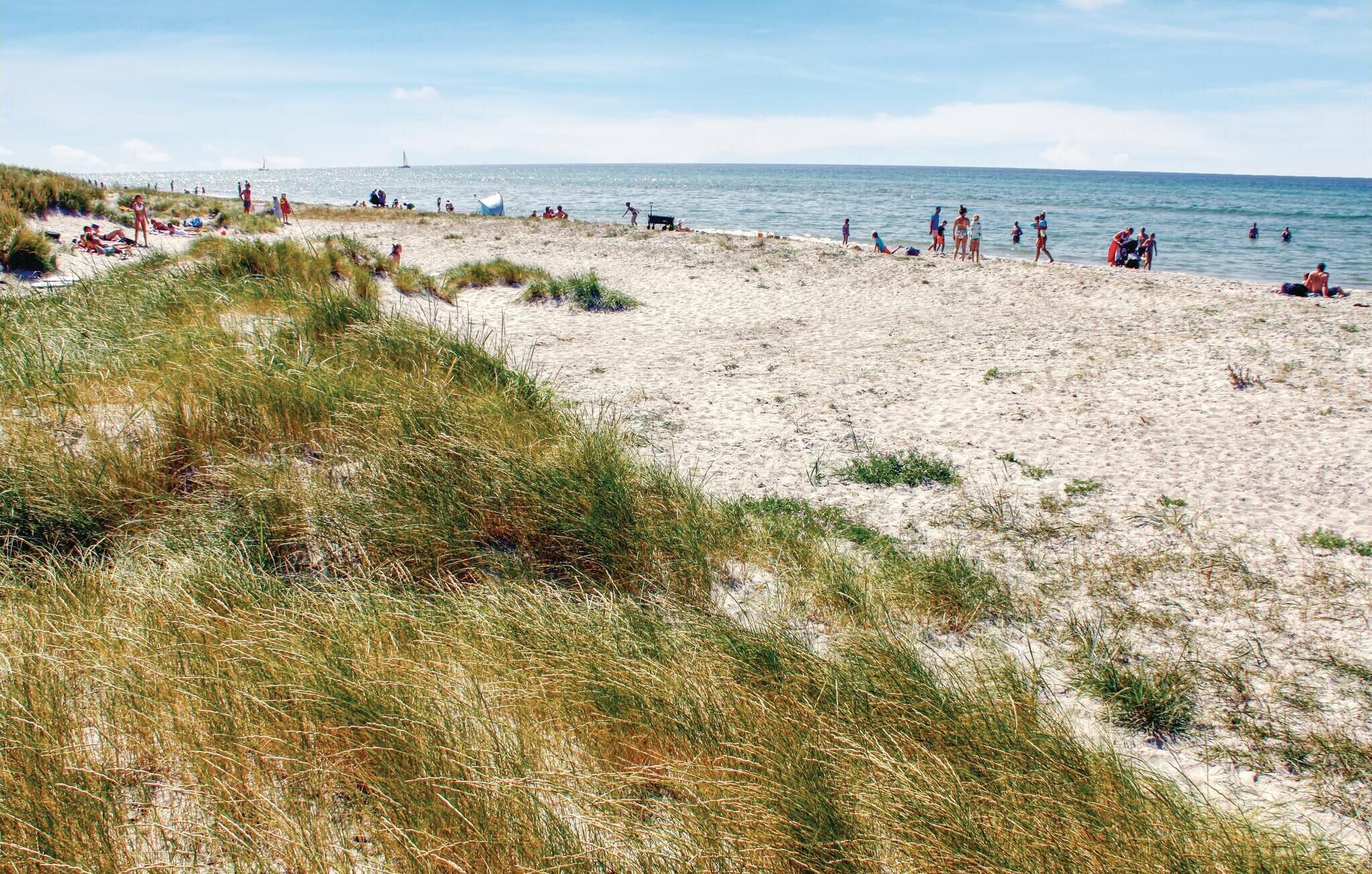 Ein Strand mit Dünen und Menschen, die die Sonne genießen.