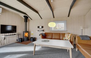 TV, fireplace, DVD player