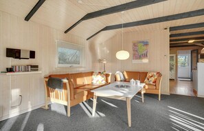 Fernseher, Kamin, DVD-Player