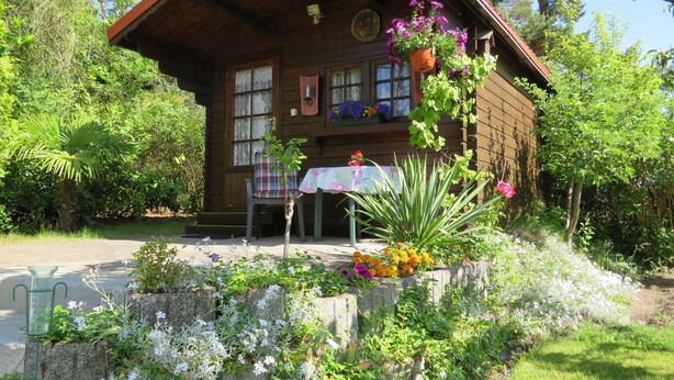 A wooden cabin with a porch, surrounded by lush greenery and flowering plants.