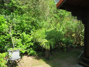 Unclassified image, 4 of 14, button