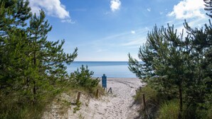 Ein sandiger Pfad am Strand, umgeben von Kiefern.