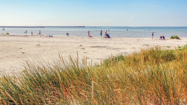 A beach with people sunbathing and swimming. - 3 bedroom nice home in Ebeltoft (Ebeltoft)