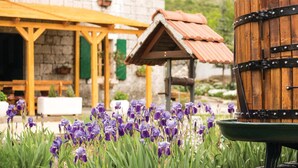 Un jardin avec des fleurs violettes, un tonneau en bois et un bâtiment rustique doté d’un toit vert.