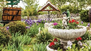 Un jardin agrémenté d’une fontaine décorative, d’une structure en bois et de diverses plantes.