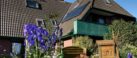 Terrain de l’hébergement