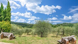 A scenic outdoor area with olive trees and a clear sky. - Gorgeous home in Seggiano GR with house a panoramic view (Seggiano GR)