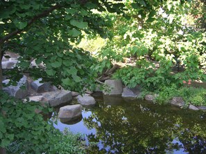 Unclassified image, 2 of 20, button