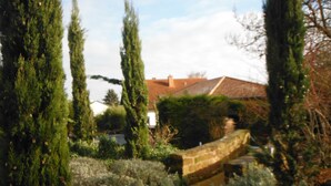 Un jardín con árboles altos, un muro de piedra y un edificio de techo rojo.
