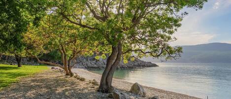 Nära stranden och fiske
