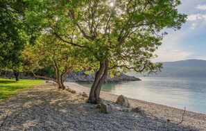 Une plage de galets bordée d’arbres et une mer calme.