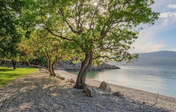 In Strandnähe, Angeln