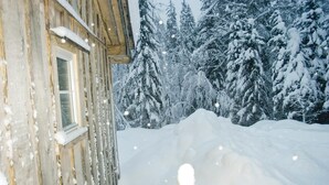 Eine Holzlaube mit Fenster, umgeben von schneebedeckten Bäumen und einer verschneiten Fläche.