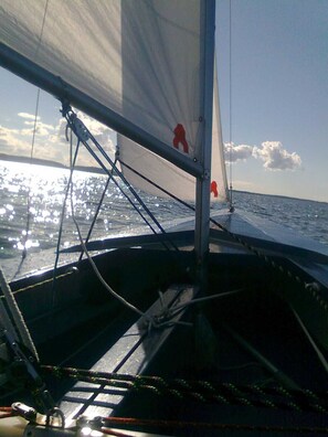 Unclassified image, 3 of 15, button