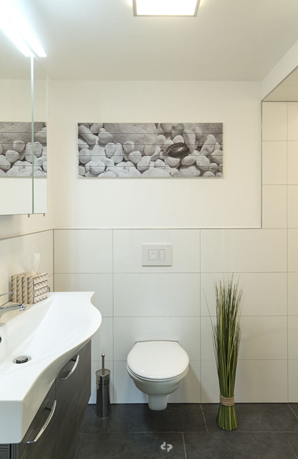 Shower, hair dryer