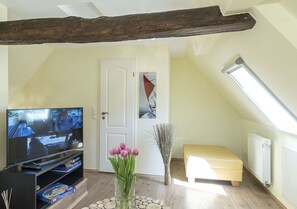 Fernseher, Kamin