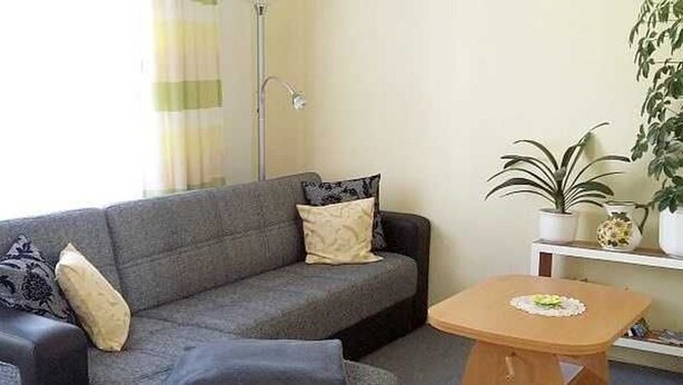 Een woonkamer met een grijze bank, twee kussens, een houten salontafel en een kamerplant.