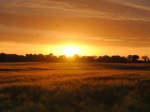 Oklassificerad bild, 2 av 13, knapp