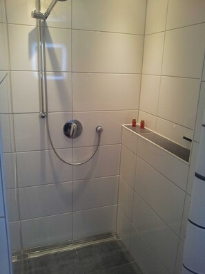 Chuveiro, secador de cabelo, sabonete, papel higiênico