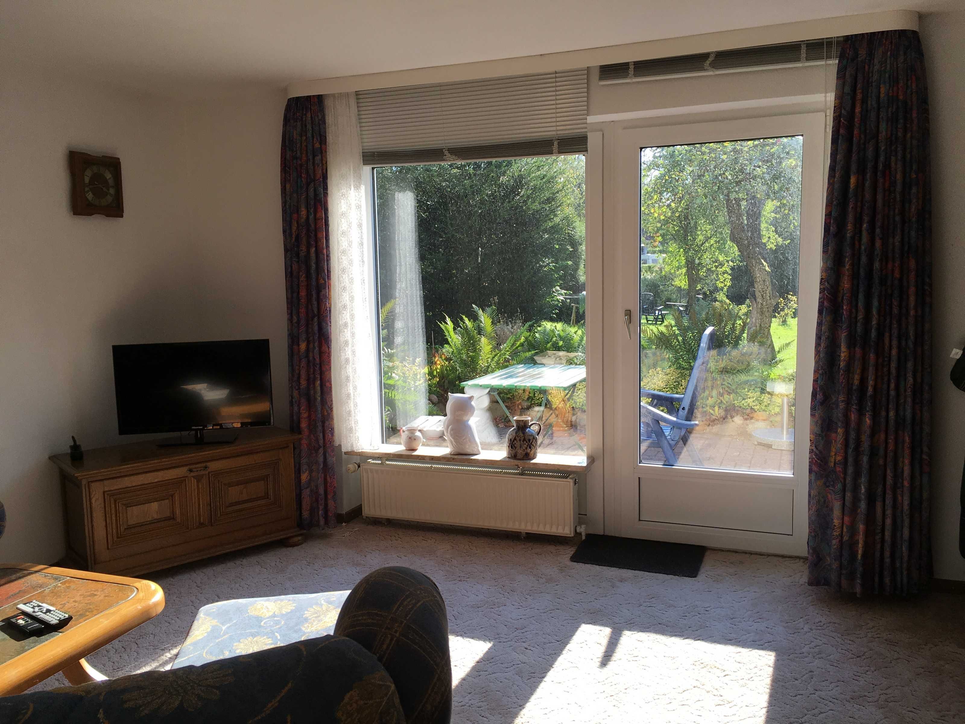 Televisión y chimenea 