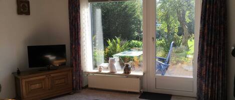 تلفزيون، مدفأة