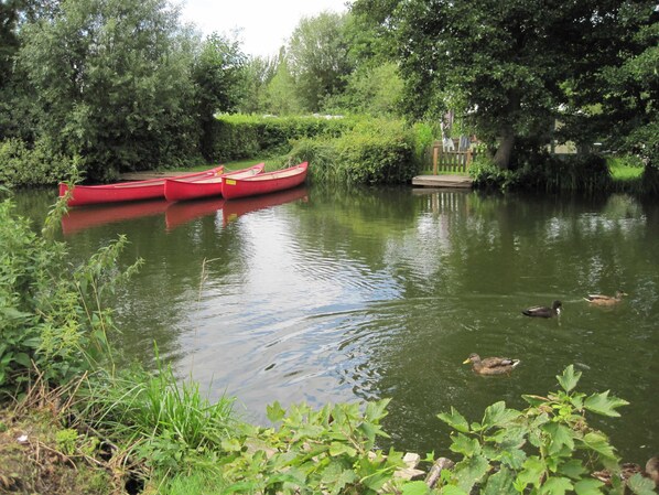 Unclassified image, 1 of 18, button