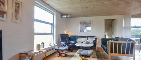 TV, fireplace, DVD player