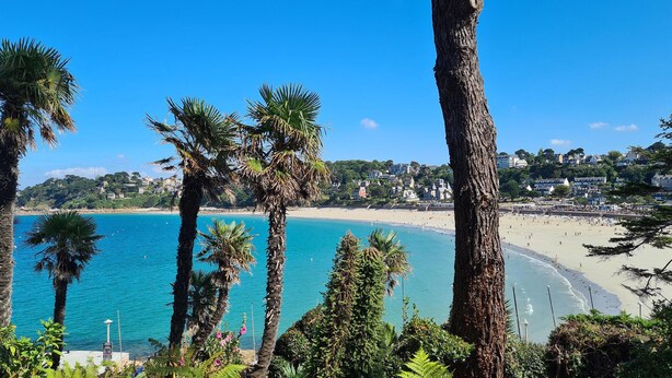Blick auf die Küste mit Strand, Palmen und Gebäuden im Hintergrund.