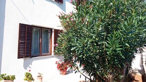 Un bâtiment blanc avec des volets marron et des plantes en pot devant.