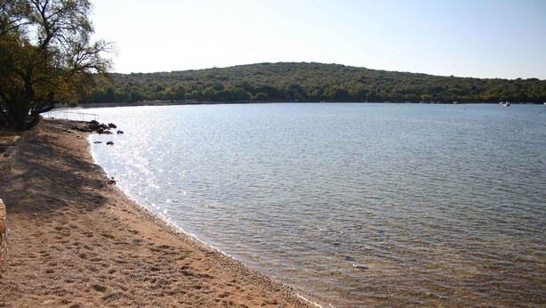 Une plage d’où l’on a une vue dégagée sur l’eau, avec une colline boisée en arrière-plan.