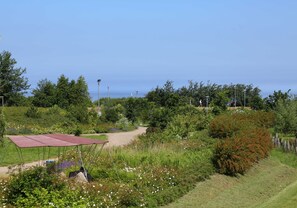 A garden with a paved path, a metal structure, and various plants.