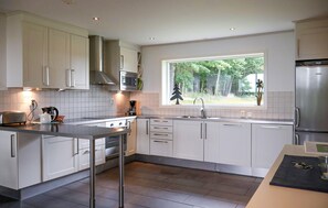 Kühlschrank, Herdplatte, Geschirrspüler