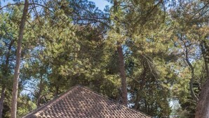 A rustic cabin with a tiled roof, a red door, and a small porch. There are two slides in the background, and a play structure with colorful blocks in the foreground. - Studio with outdoor pool (Umag)