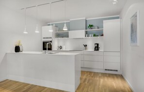 Fridge, stovetop, dishwasher, coffee/tea maker