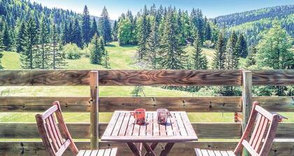 Superbe appartement à Prémanon