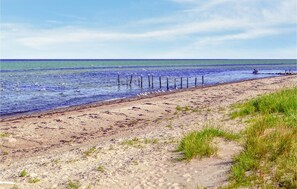 A sandy beach with seagulls and a clear sky. - Cozy home in Glesborg with sauna (Glesborg)